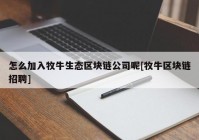 怎么加入牧牛生态区块链公司呢[牧牛区块链招聘]