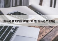 亚马逊最大的区块链公司是[亚马逊产业链]