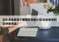 红杉资本投资了哪些区块链公司[红杉投资的区块链项目]